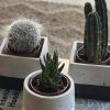 Concrete Planter