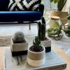 Concrete Planter - Image 3