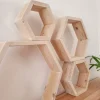 Hexagon Hive Shelf