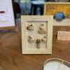 Framed Pebble Art “The World Of Flowers” - Image 13