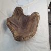 Live Edge Walnut Bowl - Image 4