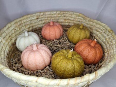 🎃 Pumpkins