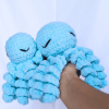 Soft Octopus Lovey Set for Newborns and Toddlers - Image 2