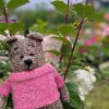 Teddy Bear in sweater