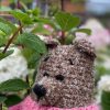 Teddy Bear in sweater - Image 3