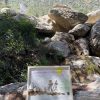Framed Pebble Art ''Nature explorations'' - Image 13