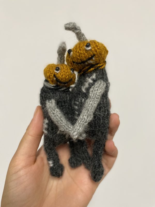 Mr and Mrs Pumpkins - Image 8
