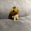 Pumpkin fellow