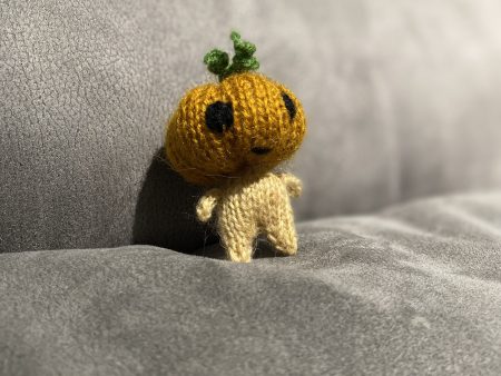 Pumpkin fellow