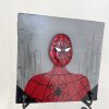 Pebble Art On Canvas "Spider-Man" - Image 3