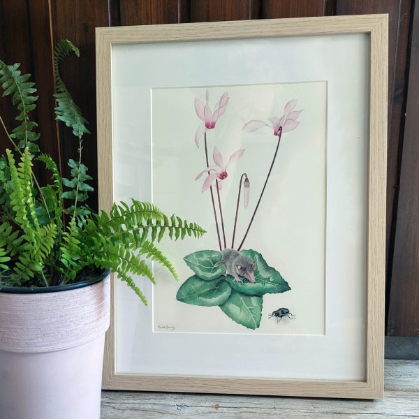 Delicate Hand-Painted Botanical Illustration: Cyprus Cyclamen, Shrew, and Endemic Beetle