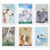 Paws and Wishes: Boxed Set 6 All-Occasion Greeting Cards for Dog Lovers