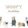 GREETING CARD 'Woofy Birthday' - Image 2