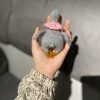 Goose Lady Gaga - Image 3