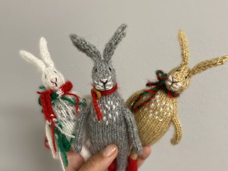 Funny Bunny