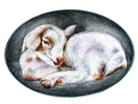 Goat Kid: Original Framed Painting