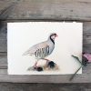 Nature's Still Life: Framed Watercolour of a Partridge - Image 11