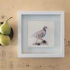 Nature's Still Life: Framed Watercolour of a Partridge - Image 2