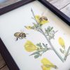 Golden Nectar: A Botanical Tribute to Bees - Image 3