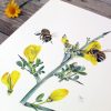 Golden Nectar: A Botanical Tribute to Bees - Image 8