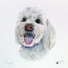 Treasured Custom Pet Portrait Watercolour Painting - Image 3