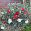 Elegant Felt Flower Garland - 2 available