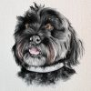 Treasured Custom Pet Portrait Watercolour Painting - Image 11