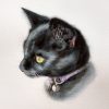 Treasured Custom Pet Portrait Watercolour Painting - Image 8