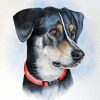 Treasured Custom Pet Portrait Watercolour Painting - Image 5