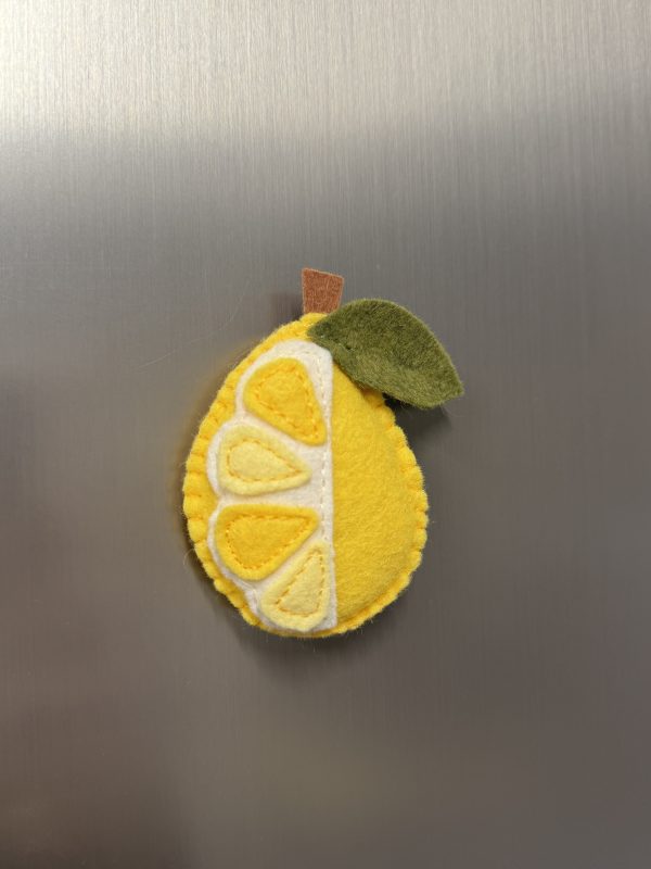 Playful Felt Fruit Magnets