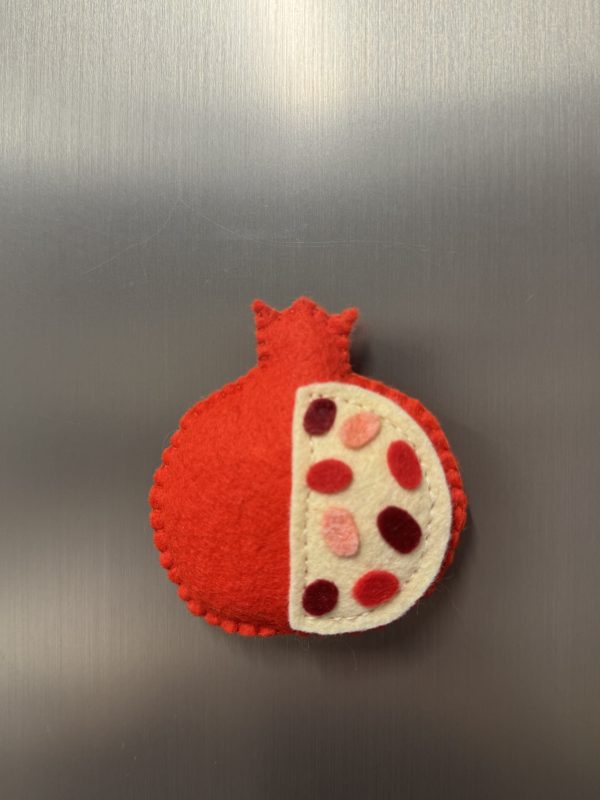 Playful Felt Fruit Magnets
