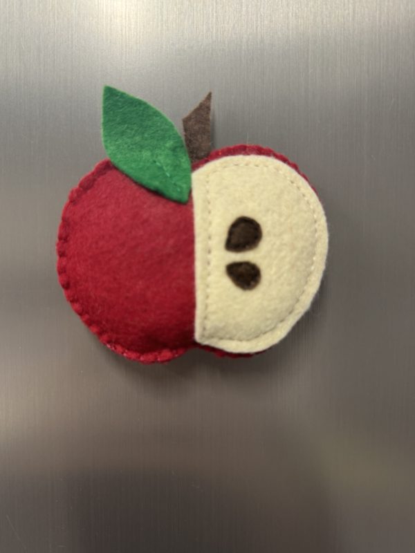 Playful Felt Fruit Magnets