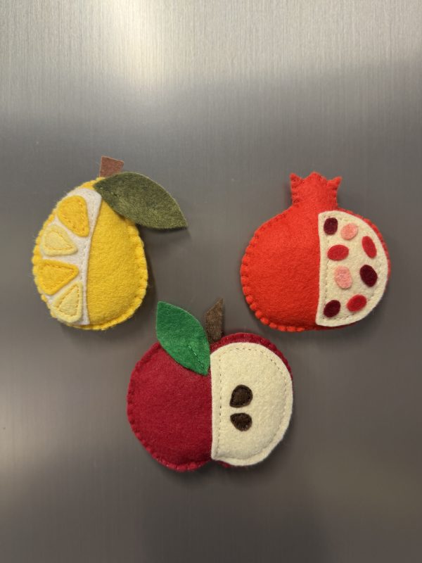 Playful Felt Fruit Magnets