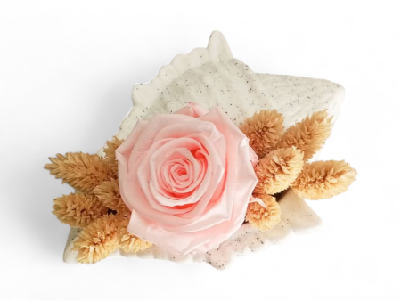 Preserved Rose - Forever rose