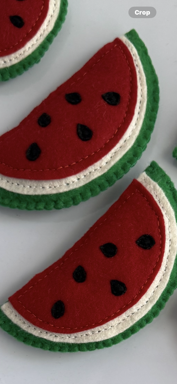 Playful Felt Watermelon Magnet