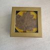 Charming Felt 'Leaf' Coasters - Set of 4