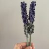 Handmade Felt Lavender Stem - 3 colours available