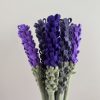 Handmade Felt Lavender Stem - 3 colours available