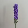 Handmade Felt Lavender Stem - 3 colours available