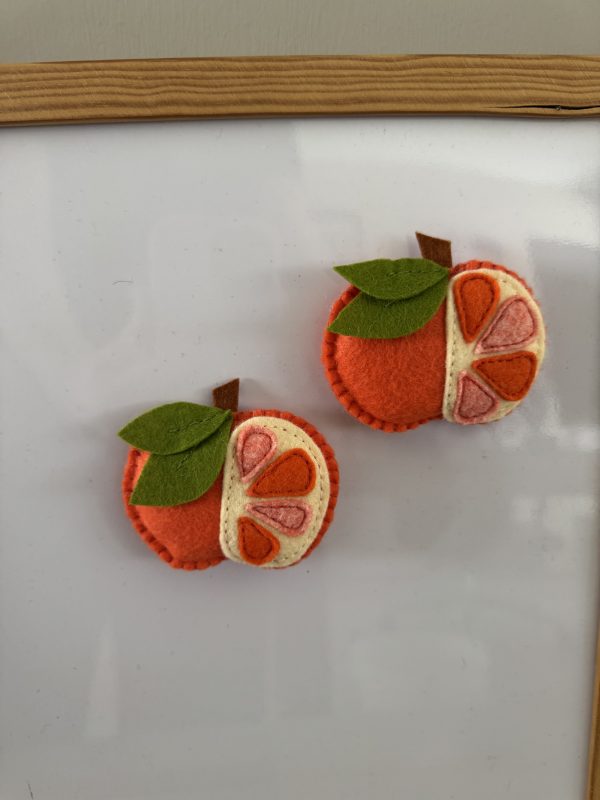 Playful Felt Fruit Magnets
