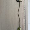 Felt Apple and Pear Bookmarks - 2 colours