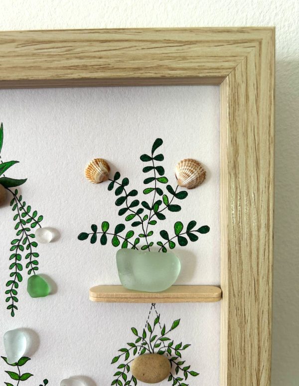 Seaglass and Seashell Nursery Plant Picture