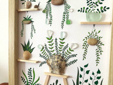 Seaglass and Seashell Nursery Plant Picture