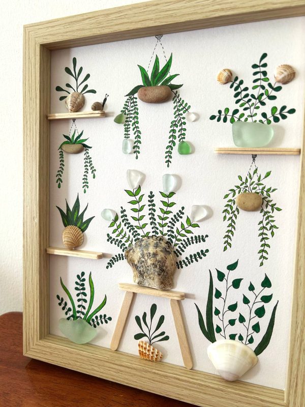 Seaglass and Seashell Nursery Plant Picture