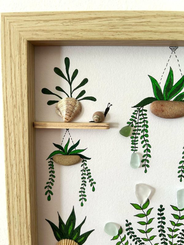 Seaglass and Seashell Nursery Plant Picture