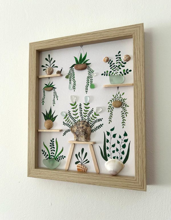 Seaglass and Seashell Nursery Plant Picture