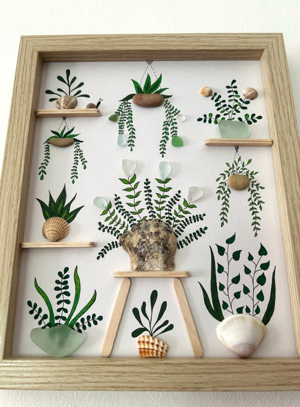 Seaglass and Seashell Nursery Plant Picture