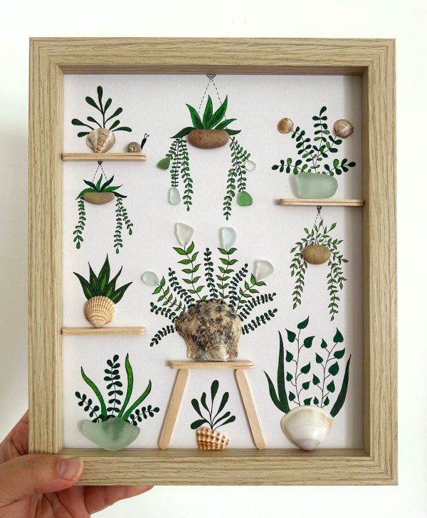 Seaglass and Seashell Nursery Plant Picture