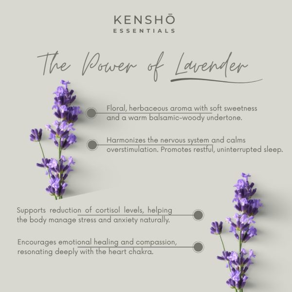lavender essential oil
