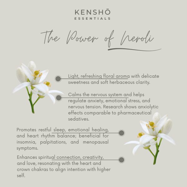 Healing Whispers Essential Oil Blend - Image 4